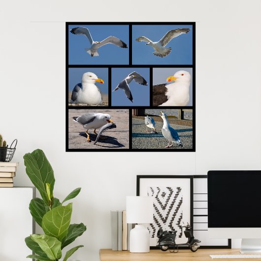 Poster Photos multiples de mouettes (Bureau à domicile)