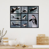 Poster Photos multiples d'épaulards (Cuisine)