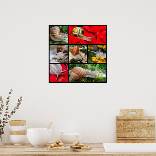 Poster Photos multiples d'escargots (Cuisine)