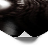 Poster Photos Sea Urchin noir et blanc 20x20 (Coin)