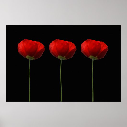 Poster Photos sur l'affiche noire (Devant)