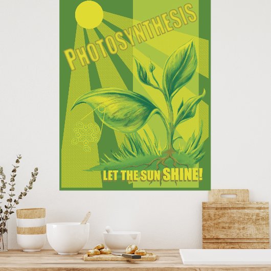 Poster Photosynthèse (Cuisine)