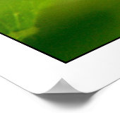 Poster photosynthétiser (Coin)