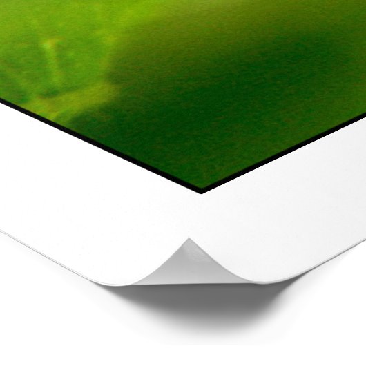 Poster photosynthétiser (Coin)