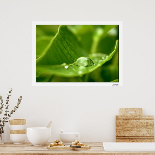 Poster photosynthétiser (Cuisine)