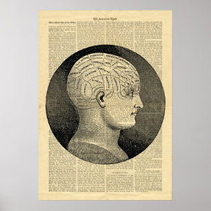 Poster Phrénéologie des têtes humaines dans un jou