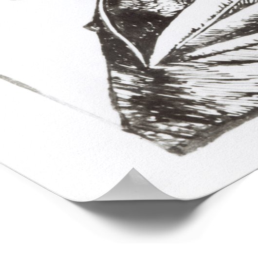 Poster Phrenology (Coin)