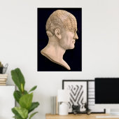 Poster Phréologie 1834 (Bureau à domicile)