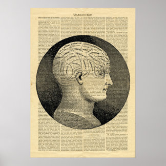 Poster Phréologie de la tête humaine dans le journ