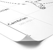 Poster Phylogénie céphalopode (Coin)