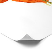 Poster Physalis alkekengi franchetti (Coin)