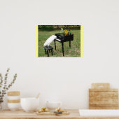 Poster Pianiste Parrots (Cuisine)