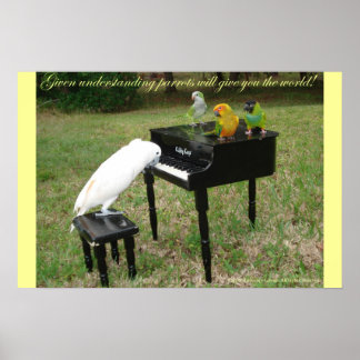 Poster Pianiste Parrots