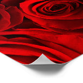 Poster Piano et Rose (Coin)