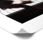 Poster Piano Kitten (Coin)