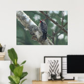 Poster Pic à bois (Bureau à domicile)