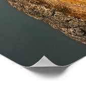 Poster Pic à l'ivoire (Coin)