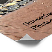 Poster Pic à tête rouge (Coin)