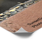 Poster Pic à tête rouge (Coin)