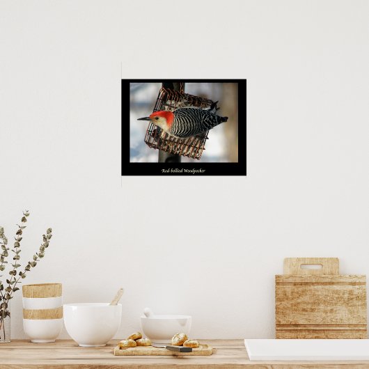 Poster Pic à ventre rouge (Cuisine)