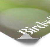 Poster Pic à ventre rouge (Coin)