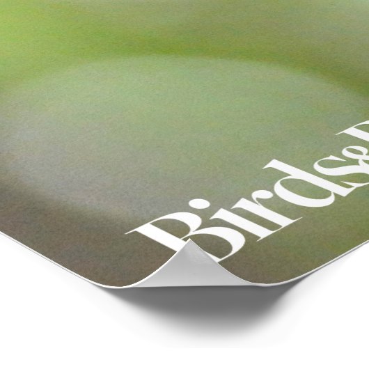 Poster Pic à ventre rouge (Coin)