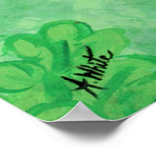 Poster Pic à ventre rouge (Coin)