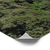 Poster Pic Crag (Coin)