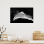 Poster Pic de la ceinture bordée (Cuisine)