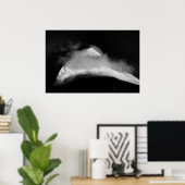 Poster Pic de la ceinture bordée (Bureau à domicile)