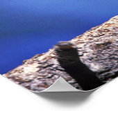 Poster Pic de maïs (Coin)