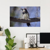 Poster Pic de maïs (Bureau à domicile)