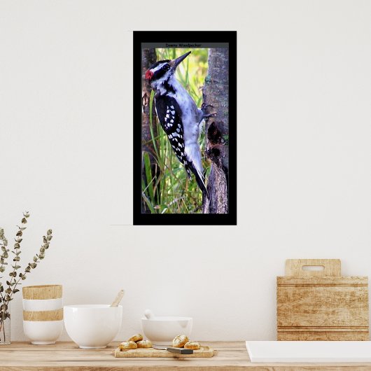 Poster Pic Downy (Cuisine)