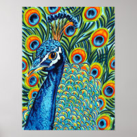 Pic en plumes I