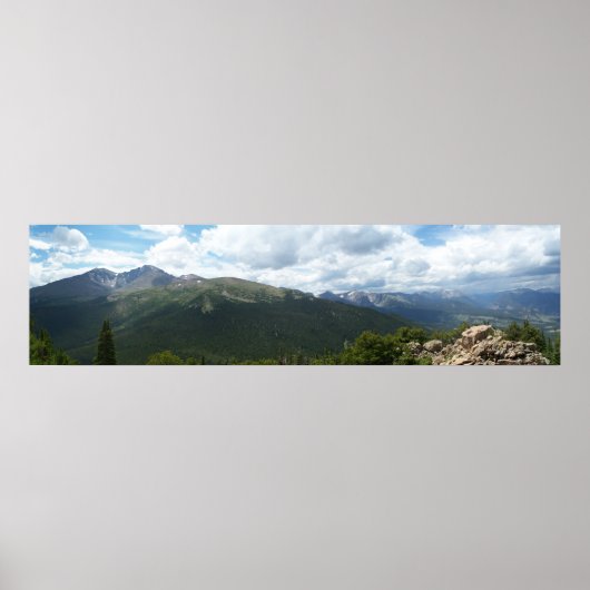 Poster Pic Longs (Devant)