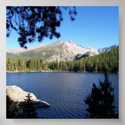 Poster Pic Longs (Devant)