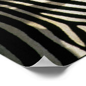 Poster Pic rouge sur un dos de Zèbre - Zimbabwe (Coin)