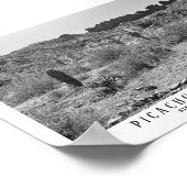 Poster Picacho Peak State Park Keepsar Arizona (Coin)