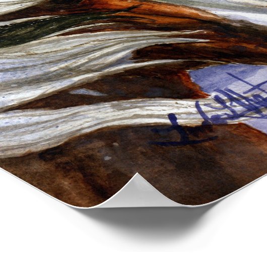 Poster Picasso de Sand Wash Basin HMA (Coin)