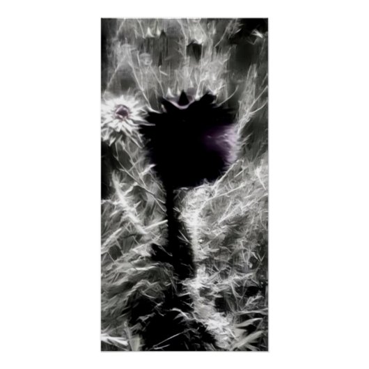 Poster Pick (Devant)