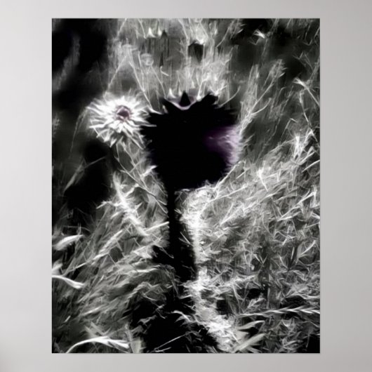 Poster Pick (Devant)