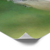 Poster Pickadee au repos peinture numérique (Coin)