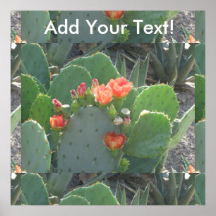 Poster Pickly Pear Cactus