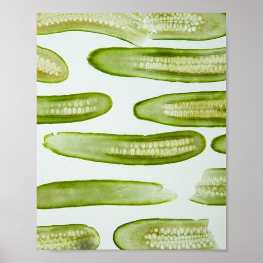 Poster Picks Green (Devant)
