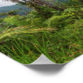 Poster Pics et vallées d'el yunque (Coin)