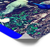 Poster Pics vintages (Coin)