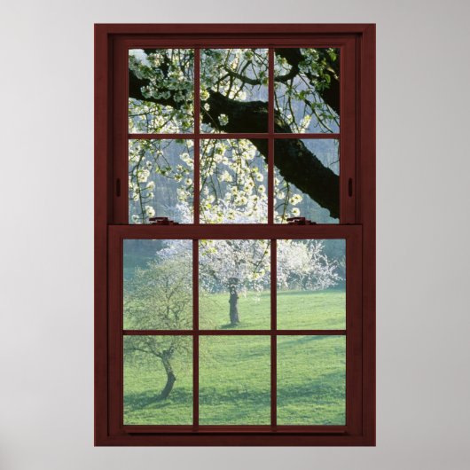 Poster Picture Window Landscape - Cherry Blossoms. (Devant)