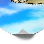 Poster Pidge Y (Coin)