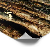 Poster Pièce de déclaration de la Plumeria hawaïenne (Coin)