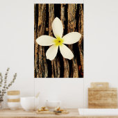 Poster Pièce de déclaration de la Plumeria hawaïenne (Cuisine)